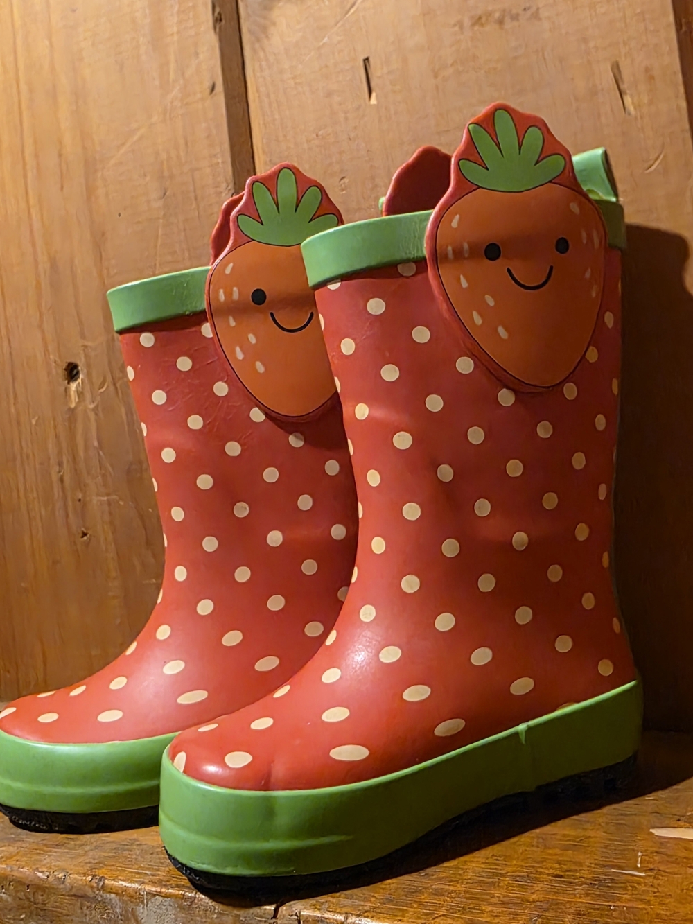 Kids Strawberry Print Rain Boots - Red with Green Trim